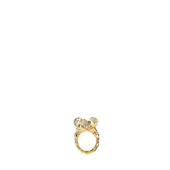 Anillo ANELLI