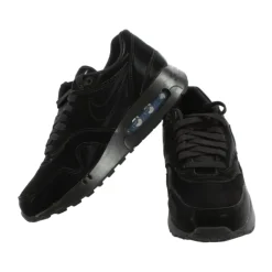Ari max 1