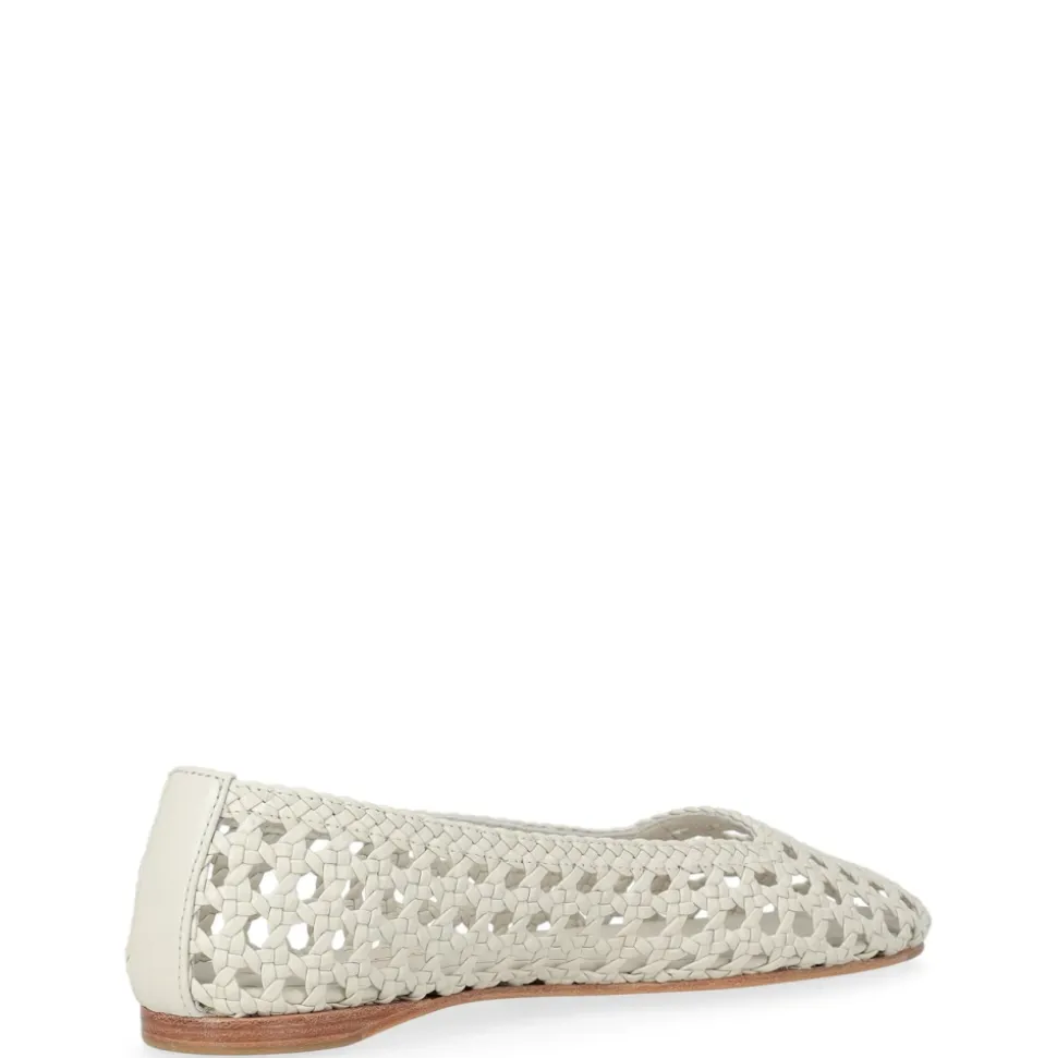 Bailarina Shell