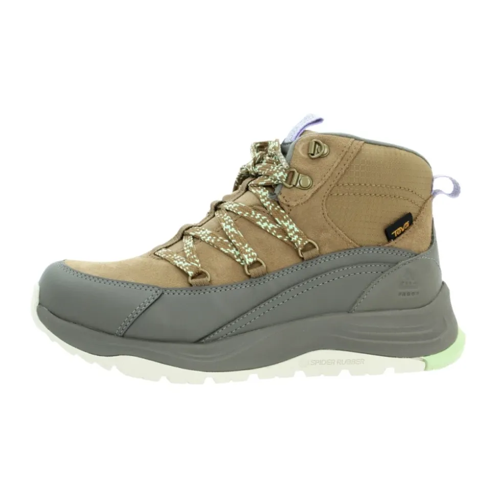 Bota Auroris