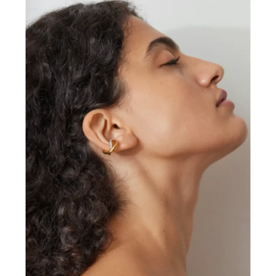 Boucle d'oreille