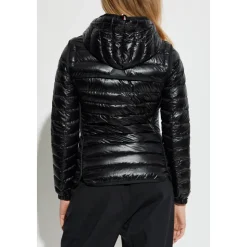 Chaqueta Acolchada de Plumón Pontaix Day-Namic