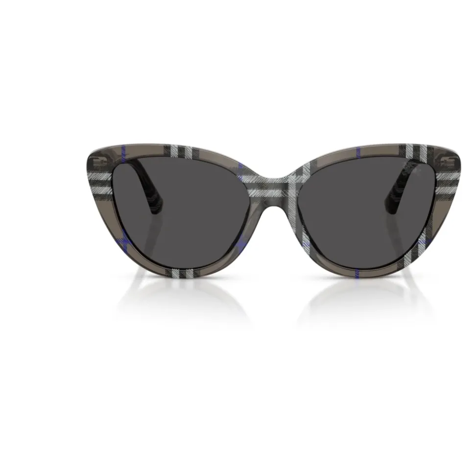 Gafas de sol elegantes para mujeres modernas