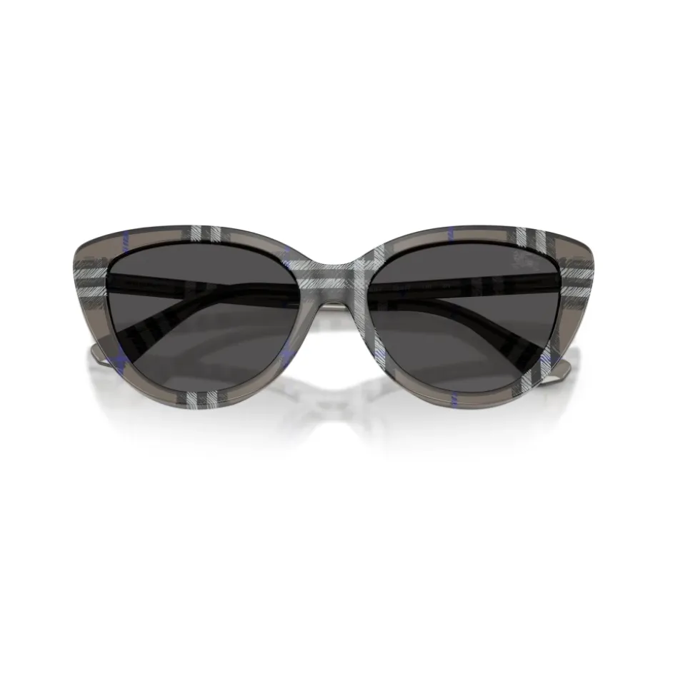 Gafas de sol elegantes para mujeres modernas