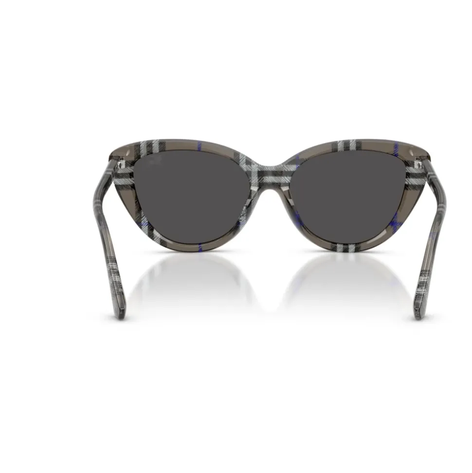 Gafas de sol elegantes para mujeres modernas