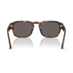 Gafas de Sol PO3386S