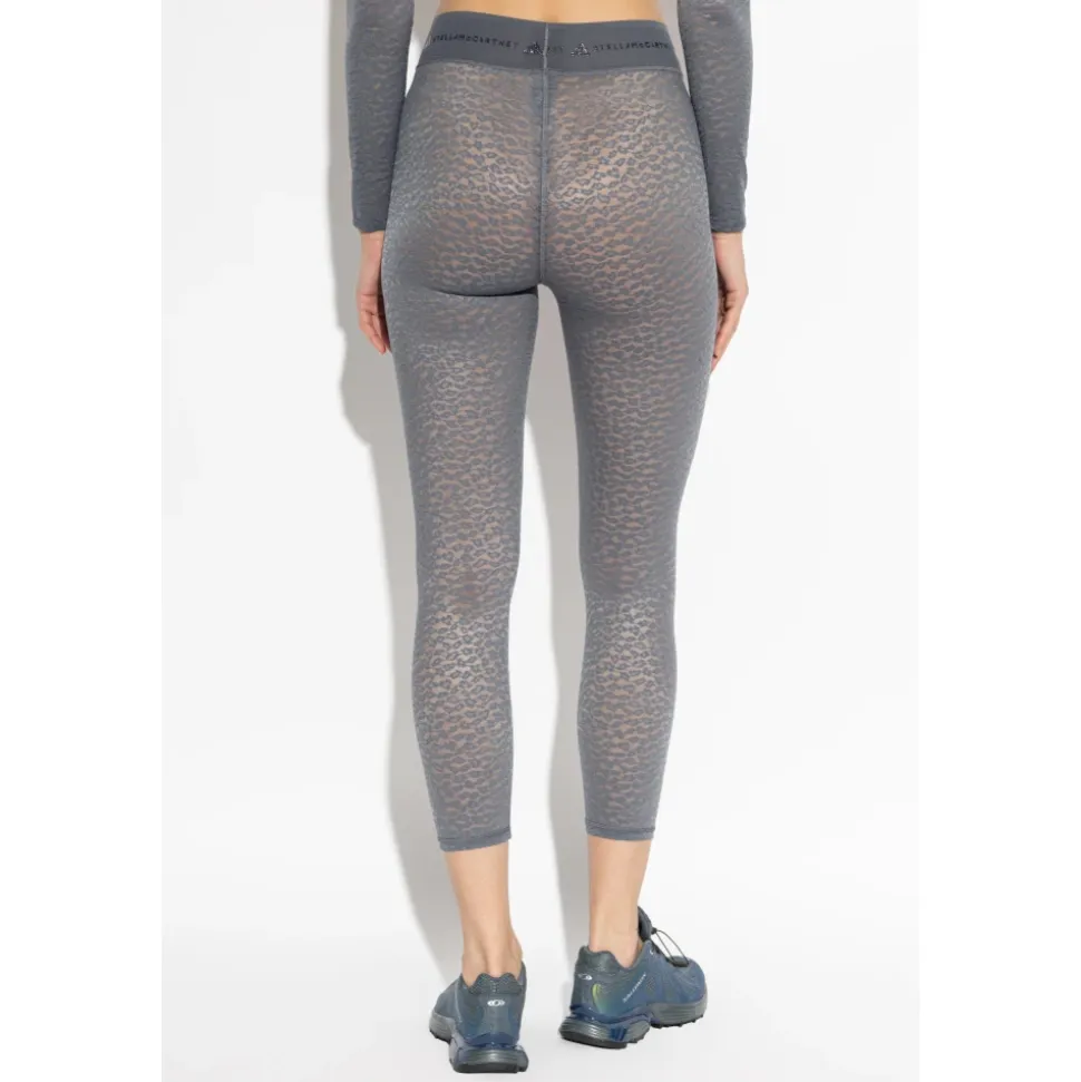 Mallas de Entrenamiento