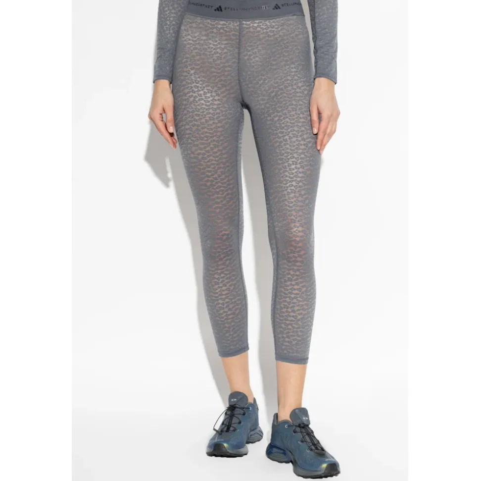 Mallas de Entrenamiento