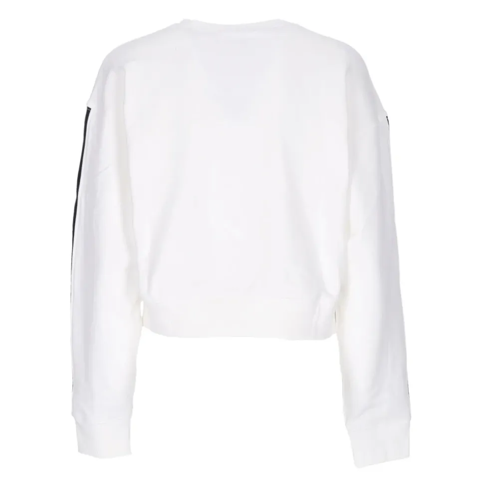 Sudadera Adicolor Classics