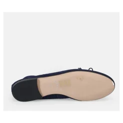 Zapatos de Bailarina Azules